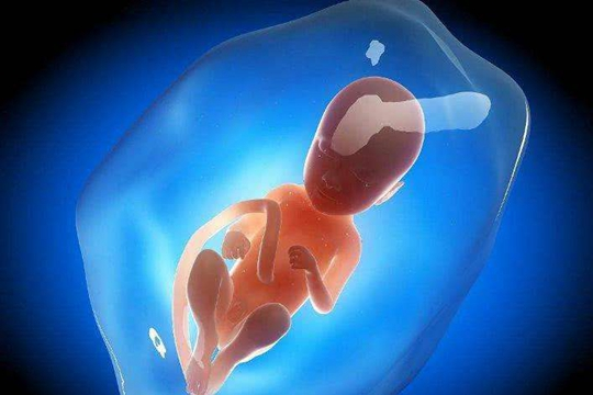 自然受孕双胞胎