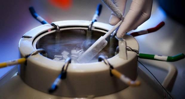 自然受孕胚胎停育