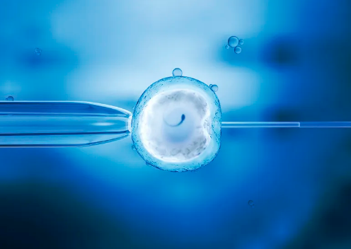 预产期计算器软件