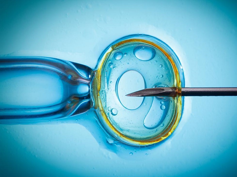 女性自然受孕率