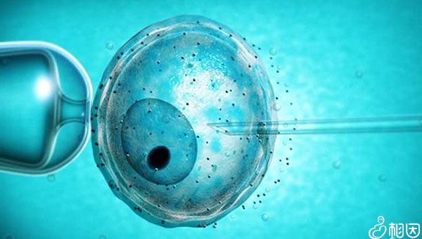 不正常婴儿眼神