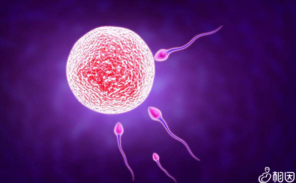 移植后着床出血