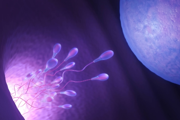 最灵的土方法测男女