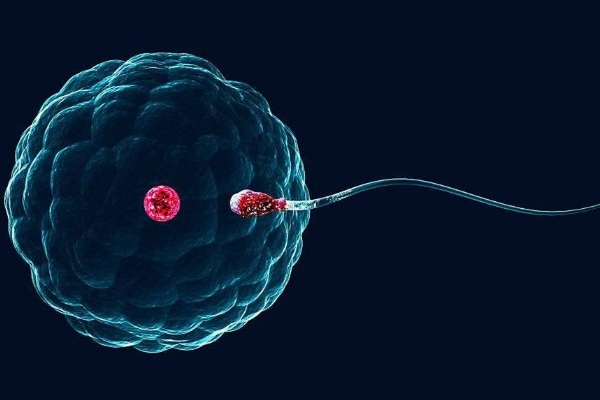 南宁试管医院排名前十名